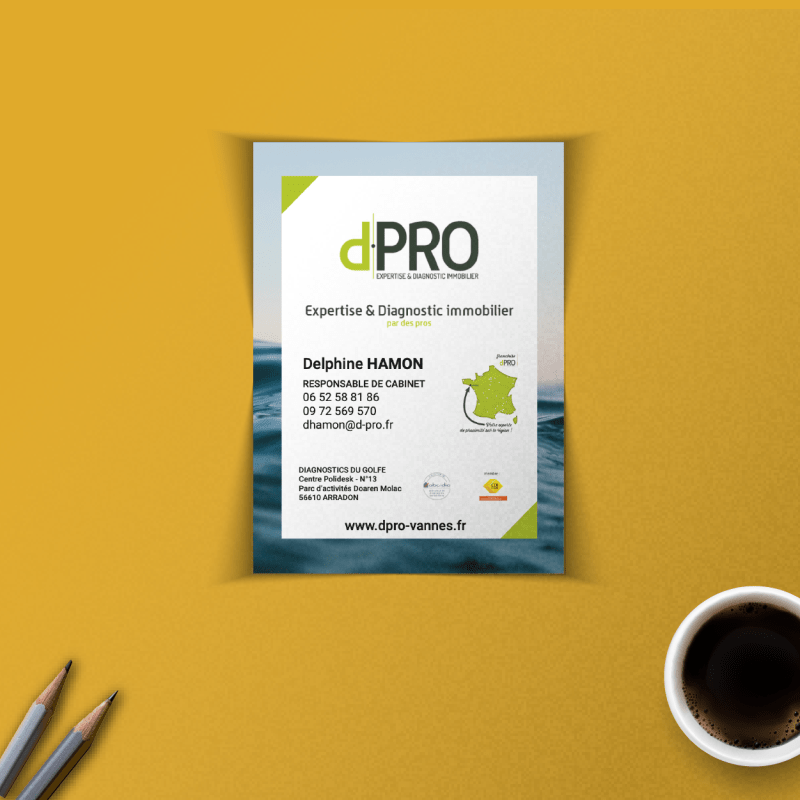 Projet encart publicitaire 2